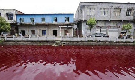 Хятадын Жэжян мужийн гол цусан улаан өнгөөр урсчээ