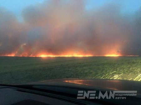 Оюутнууд төв талбайгаа угааж, шууданчид суулт хийж, малчид түймэрт өртсөн 7 хоног