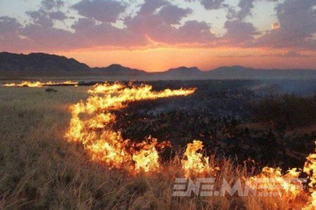 Оюутнууд төв талбайгаа угааж, шууданчид суулт хийж, малчид түймэрт өртсөн 7 хоног