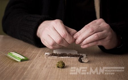 Хар тамхи хамжааргагvй болж байна
