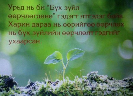 СОНИРХОЛТОЙ ФОТО МЭДЭЭЛЛҮҮД 5