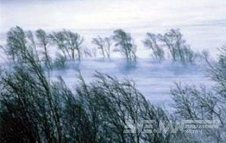  Цаг агаарын аюултай үзэгдлээс сэрэмжлүүлж байна