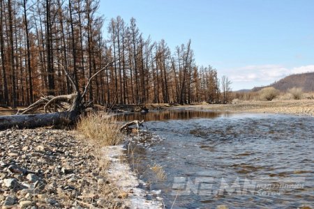  Хур тунадас орж, ихэнх нутгаар сэрүүснэ