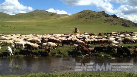 Хятадад мал маллахаар очсон монголчуудыг зодон гэмтээжээ