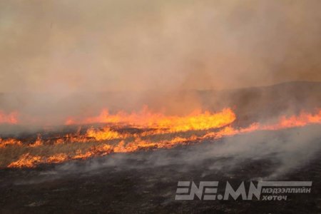 Он гарсаар 353 мянган га талбай түймэрт өртжээ