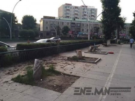 7-р сарын 5 9 цаг 48 минут Ургалт нь зогсч, үхэжсэн моддыг тайрсан гэнэ