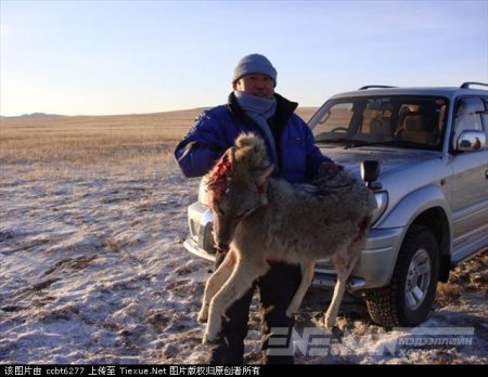 ХЯТАД САЙТААР “МОНГОЛ БОЛ ЖАРГАЛЫН ОРОН” ХЭМЭЭХ ХУУЛЬ БУС ҮЙЛДЛҮҮД ЦАЦАГДАЖ ЭХЭЛЛЭЭ