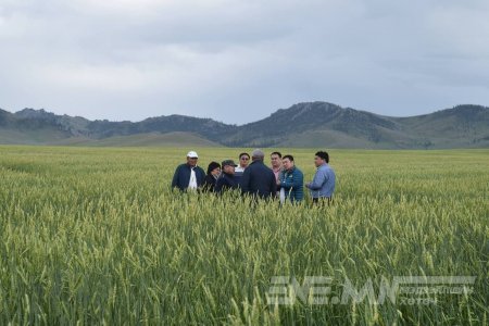 П.Сэргэлэн: Тариаланчдын шатахууны ЗЭЭЛИЙГ энэ сарын 20-ны дотор олгоно