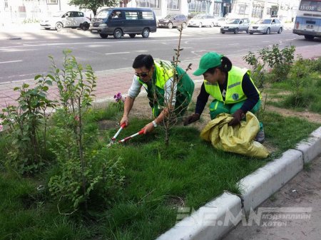Ногоон байгууламжийн усалгаанд өдөр гурав, шөнө долоон машин ажиллаж байна