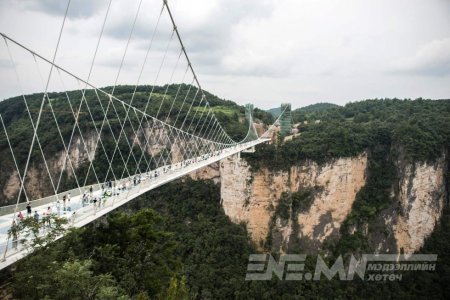 ДЭЛХИЙН ХАМГИЙН УРТ ШИЛЭН ГҮҮР НЭЭЛТЭЭ ХИЙЛЭЭ