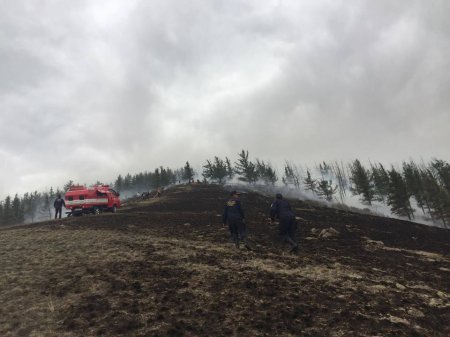 Залаатын аманд гарсан түймрийг цурманд орууллаа