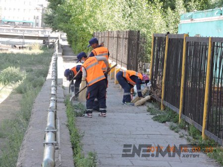 12360 м.кв талбайн шарилж, зэрлэг ургамлыг цэвэрлэв