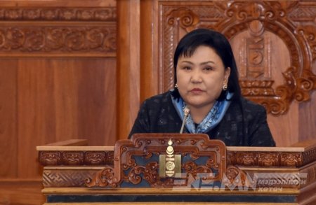 Газрыг улсын тусгай хэрэгцээнд авах тухай УИХ-ын тогтоол батлагдав