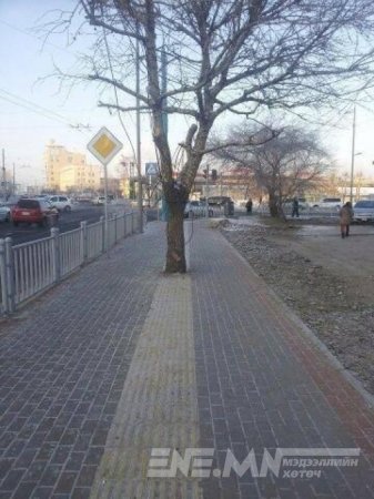Харааны бэрхшээлтэй хүмүүсийн зам ч зориулалтын байх учиртай