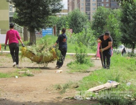 69.752 м.кв талбайн хөл газрын ургамлыг цэвэрлэв
