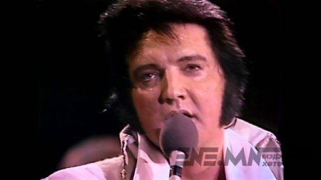 "MY WAY" дуу яагаад үхэлд хүргэдэг вэ?