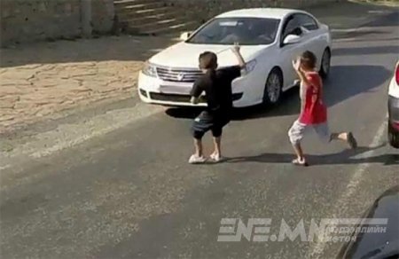 Зам тээврийн ослын улмаас есөн хүүхэд гэмтэж, бэртжээ