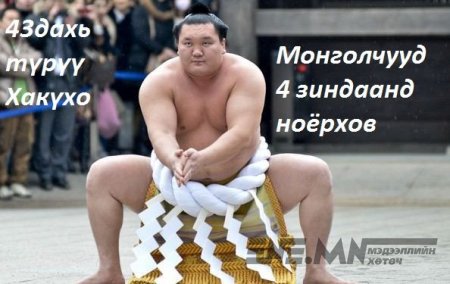 Сүмо: Монголчууд 4 зиндаанд ноёрхов
