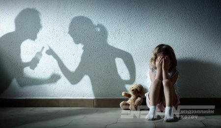 “Гэр бүлийн хүчирхийллийн 40-50 дуудлага өдөр бүр ирдэг”