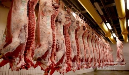 Үйл ажиллагааг нь түр зогсоосон 10 махны ҮЙЛДВЭРИЙН НЭРС
