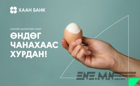 Онлайн цалингийн зээл: Өндөг чанахаас хурдан!