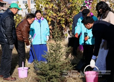 ЕРӨНХИЙЛӨГЧ ГЭРЛЭХ ЁСЛОЛЫН ОРДНЫ ЦЭЦЭРЛЭГТ ХҮРЭЭЛЭНД МОД ТАРИВ