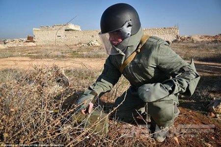 Оросын саперууд Алеппогийн 70 га талбайг цэвэрлэв