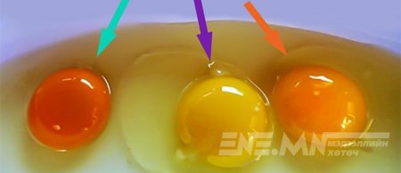 АЛЬ ӨНДӨГ ИЛҮҮ АМИН ДЭМ ИХТЭЙ ВЭ?