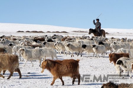 ОТРЫН БҮСЭД 19 МЯНГАН ЖИРЭМСЭН ЭМЭГТЭЙ АМЬДАРЧ БАЙНА