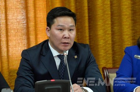 УИХ-ын гишүүн Д.Гантулгыг хорих шаардлагагүй гэж үзжээ