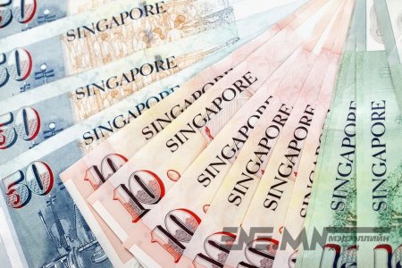 Сингапурын Засгийн газар 21-ээс дээш насны иргэн бүртээ 300 хүртэлх ам.доллар олгоно