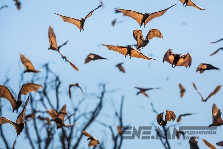 Шинжлэх ухаанаар батлагдаж нотлогдоогүй харанхуй мухар сүсэгт итгэдэгээ хэзээ болих бэ