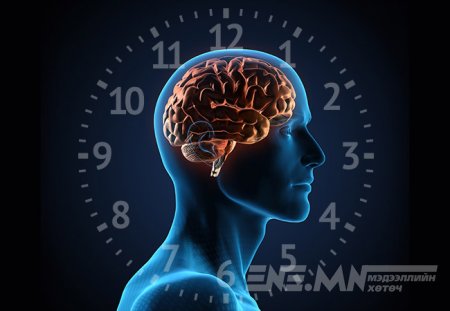 Тархийг чинь сэргээх, сонирхолтой 7 дасгал