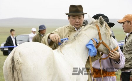 “Дүнжингарав”-ын үеэр М.Энхболд хаана байсан нь үндэсний аюулгүй байдалтай холбоотой