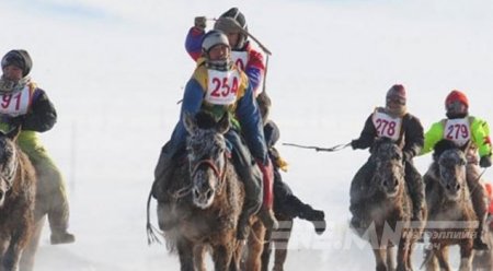 Хурдан морины уралдаан зохион байгуулахыг хориглолоо