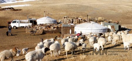 МЯНГАТ МАЛЧИД МӨНГӨГҮЙ, ИДЭХ ХООЛГҮЙ ШАХАМ АМЬДАРДАГ ГЭЖ ҮҮ?