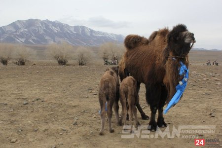ТӨЛ БОЙЖИЛТ 96,9 ХУВЬТАЙ БАЙНА