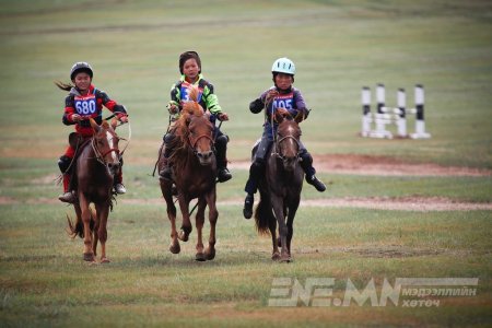 УНААЧ ХҮҮХДЭЭС ЭЦЭГ, ЭХИЙН ЗӨВШӨӨРЛИЙГ ЗААВАЛ ШААРДАНА