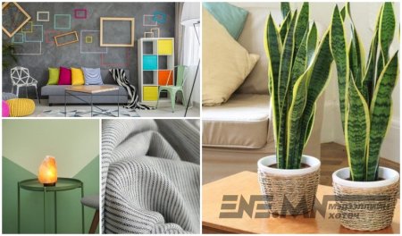 ТАНАЙ ГЭРТ АЗ ЖАРГАЛ АВЧРАХ 9 ЗҮЙЛС