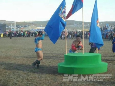 Найраа хавтгайрсан  Налайхын наадам