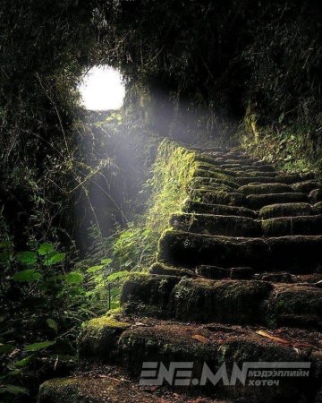 Нууцлаг Шамбалын оронд нэвтрэх хаалга Монголд бий