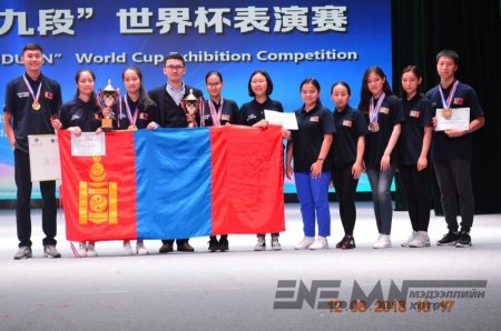 ОЙ ТОГТООЛТЫН ТАМИРЧИД ДЭЛХИЙН ЦОМД ТҮРҮҮЛЭВ