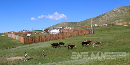 МАЛ БҮХИЙ ИРГЭДИЙГ ХОРИГЛОСОН БҮСЭЭС НҮҮЛГЭХ АЖИЛ 97.5 ХУВЬТАЙ БАЙНА