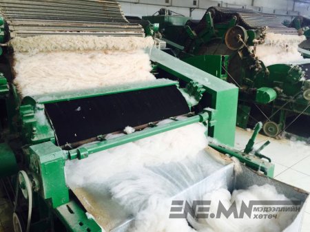 Ноолуурын үйлдвэрлэлээр дэлхийд Монгол хоёрдугаарт бичигддэг