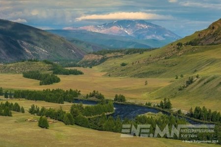 Газар нутгаа өмгөөлсөн сэтгүүлч зодуулж, эгэл иргэд гэмтсээр байх уу