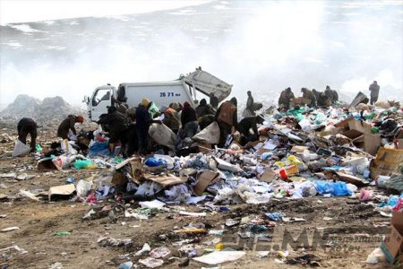 Нийслэлд үүсэж буй хог хаягдлыг хэмжээ, бүтцийг тодорхойлно