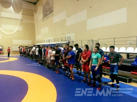 Чөлөөт бөхийн эрэгтэйчүүдийн шигшээ баг Сочи хотод бэлтгэл хийж байна