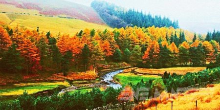 ТЭР ЖИЛИЙН НАМАР