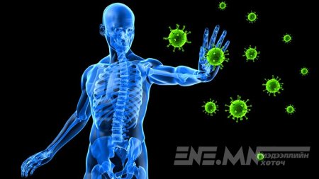 Дархлаагаа хэрхэн сэргээх вэ?