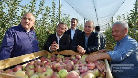 Ажлын эрч хүчээ хаанаас олж авдгаа В.Путин хэлжээ